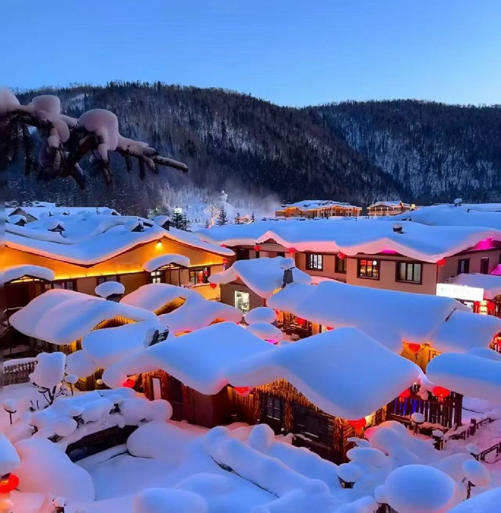 雪乡+漠河 金牌纯玩6日游